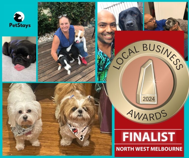 Exciting News: Pet Stays Melbourne Named Finalist in the 2024 North West Melbourne Local Business Awards! 🎉🏆