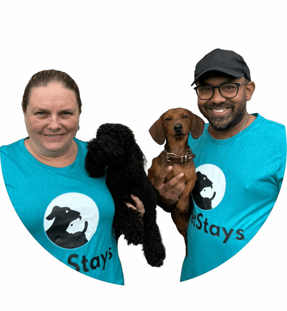 Pet Care Pet Stays Dog Boarding